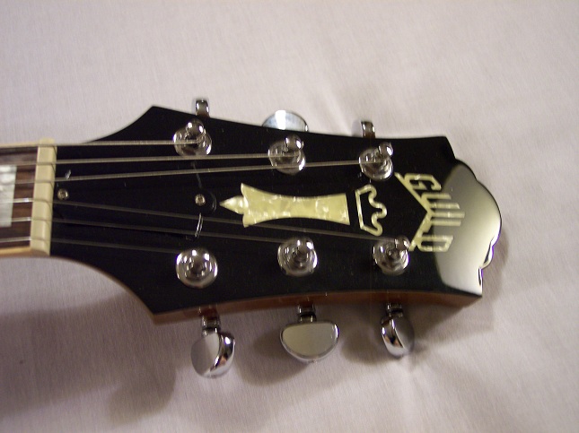 Bluesbird Picture 3